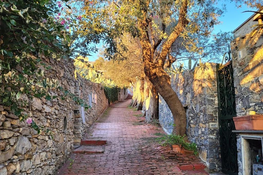 Apartmán La Casa Di Giada&Gaia Recco Exteriér fotografie